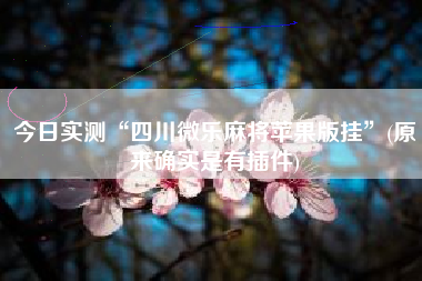 今日实测“四川微乐麻将苹果版挂”(原来确实是有插件)