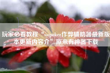玩家必看教程“wepoker作弊辅助器最新版本更新内容介	”原来有神器下载