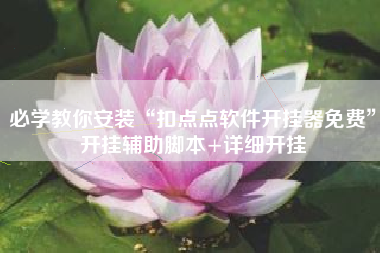 必学教你安装“扣点点软件开挂器免费”开挂辅助脚本+详细开挂