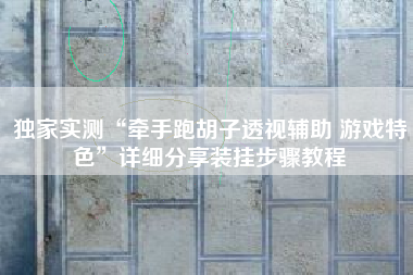 独家实测“牵手跑胡子透视辅助 游戏特色”详细分享装挂步骤教程