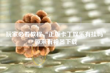 玩家必看教程“正版卡丁娱乐有挂吗”原来有神器下载