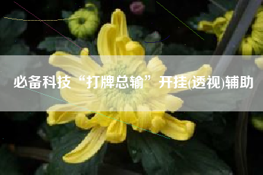 必备科技“打牌总输”开挂(透视)辅助
