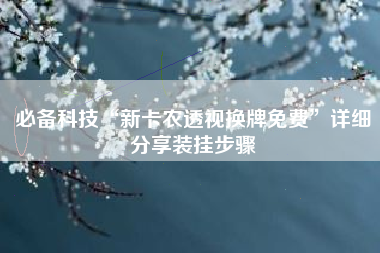 必备科技“新卡农透视换牌免费”详细分享装挂步骤