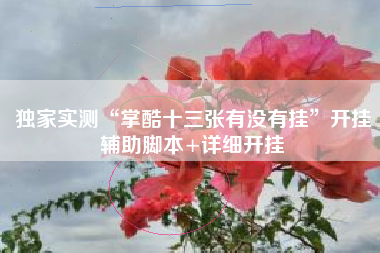 独家实测“掌酷十三张有没有挂	”开挂辅助脚本+详细开挂