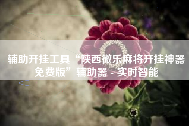 辅助开挂工具“陕西微乐麻将开挂神器免费版”辅助器 - 实时智能