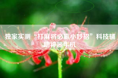 独家实测“打麻将必赢小妙招”科技辅助神器手机