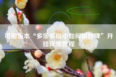 可用版本“多乐够级中如何刷好牌	”开挂详细教程