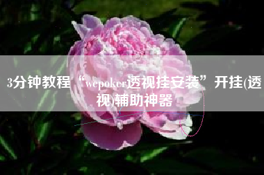 3分钟教程“wepoker透视挂安装”开挂(透视)辅助神器