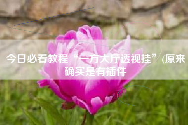 今日必看教程“一方大厅透视挂	”(原来确实是有插件