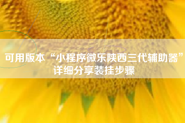 可用版本“小程序微乐陕西三代辅助器”详细分享装挂步骤
