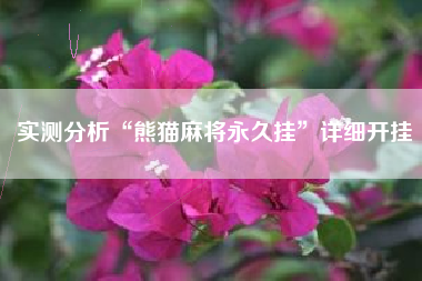 实测分析“熊猫麻将永久挂	”详细开挂