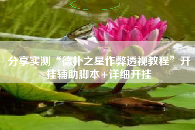 分享实测“德扑之星作弊透视教程”开挂辅助脚本+详细开挂