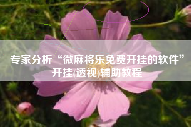 专家分析“微麻将乐免费开挂的软件”开挂(透视)辅助教程