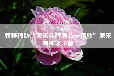 教程辅助“天天斗牌怎么一直输”原来有神器下载