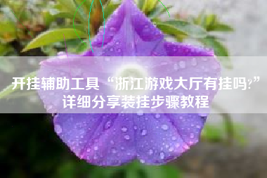 开挂辅助工具“浙江游戏大厅有挂吗?”详细分享装挂步骤教程