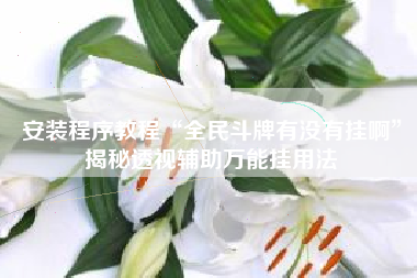 安装程序教程“全民斗牌有没有挂啊”揭秘透视辅助万能挂用法