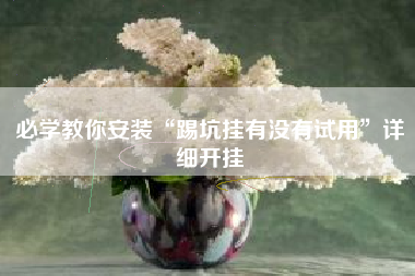 必学教你安装“踢坑挂有没有试用	”详细开挂
