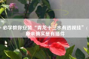 必学教你安装“青龙十三水有透视挂”(原来确实是有插件