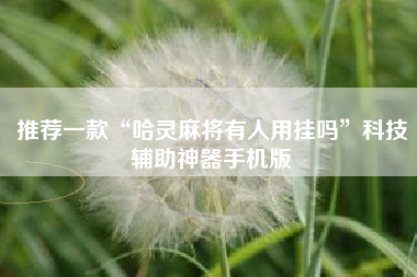 推荐一款“哈灵麻将有人用挂吗”科技辅助神器手机版