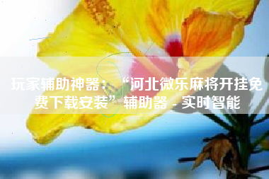 玩家辅助神器：“河北微乐麻将开挂免费下载安装”辅助器 - 实时智能