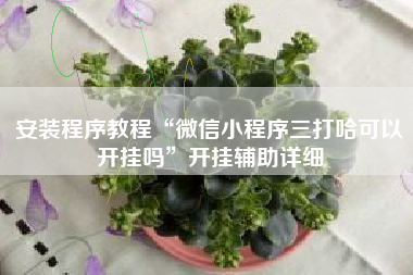 安装程序教程“微信小程序三打哈可以开挂吗”开挂辅助详细