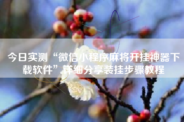 今日实测“微信小程序麻将开挂神器下载软件	”详细分享装挂步骤教程