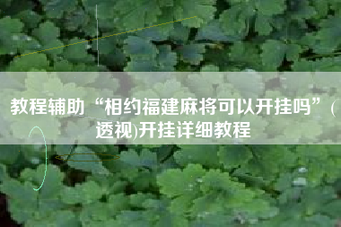 教程辅助“相约福建麻将可以开挂吗	”(透视)开挂详细教程