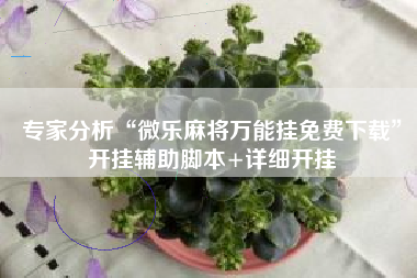 专家分析“微乐麻将万能挂免费下载	”开挂辅助脚本+详细开挂