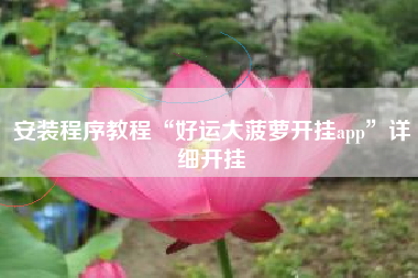 安装程序教程“好运大菠萝开挂app”详细开挂