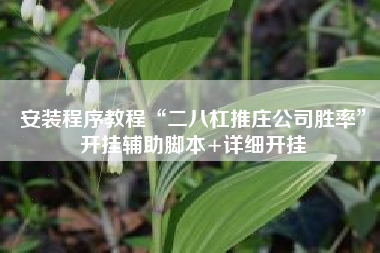 安装程序教程“二八杠推庄公司胜率”开挂辅助脚本+详细开挂
