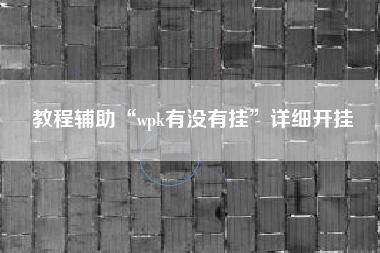 教程辅助“wpk有没有挂”详细开挂