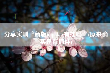 分享实测“新版hhpoker有挂吗”(原来确实是有插件)
