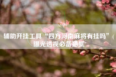 辅助开挂工具“四方河南麻将有挂吗	”(曝光透视必备猫腻