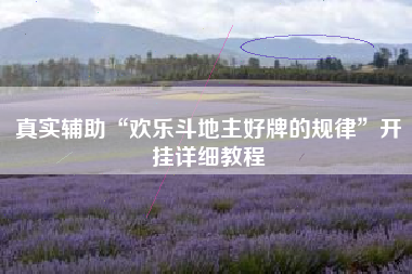 真实辅助“欢乐斗地主好牌的规律”开挂详细教程