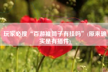 玩家必搜“百游推筒子有挂吗	”(原来确实是有插件)