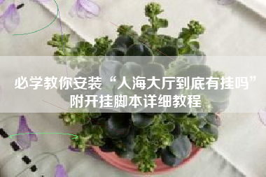 必学教你安装“人海大厅到底有挂吗”附开挂脚本详细教程