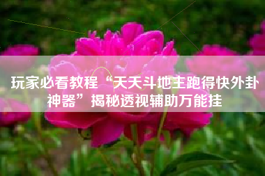 玩家必看教程“天天斗地主跑得快外卦神器”揭秘透视辅助万能挂