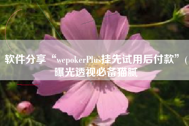 软件分享“wepokerPlus挂先试用后付款	”(曝光透视必备猫腻