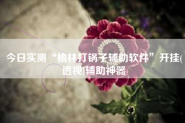 今日实测“榆林打锅子辅助软件”开挂(透视)辅助神器