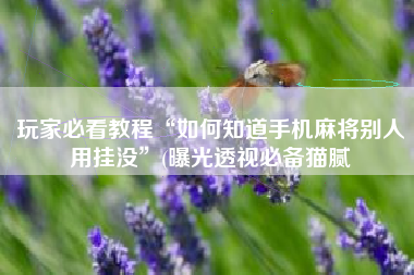 玩家必看教程“如何知道手机麻将别人用挂没”(曝光透视必备猫腻