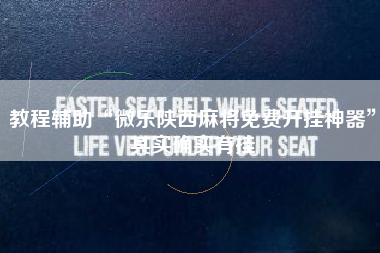 教程辅助“微乐陕西麻将免费开挂神器”其实确实有挂