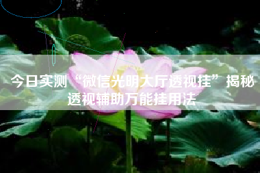 今日实测“微信光明大厅透视挂”揭秘透视辅助万能挂用法