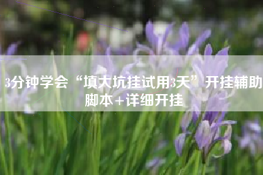 3分钟学会“填大坑挂试用3天	”开挂辅助脚本+详细开挂