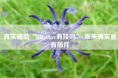 真实辅助“HHpoker有挂吗	”(原来确实是有插件