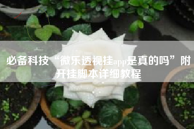 必备科技“微乐透视挂app是真的吗	”附开挂脚本详细教程