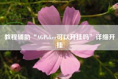 教程辅助“AGPoker可以开挂吗	”详细开挂