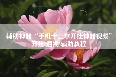 辅助神器“手机十三水开挂神器视频”开挂(透视)辅助教程