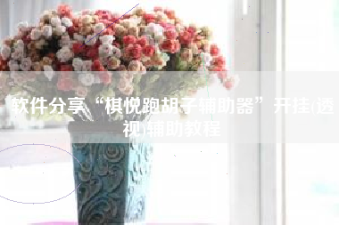 软件分享“棋悦跑胡子辅助器	”开挂(透视)辅助教程