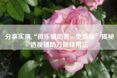 分享实测“微乐辅助器ios免费版	”揭秘透视辅助万能挂用法