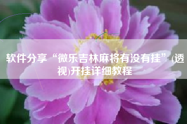 软件分享“微乐吉林麻将有没有挂	”(透视)开挂详细教程